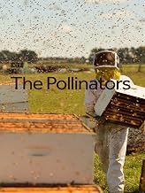 The 28 Best Documentaries about Bees The 28 Best Documentaries about Bees