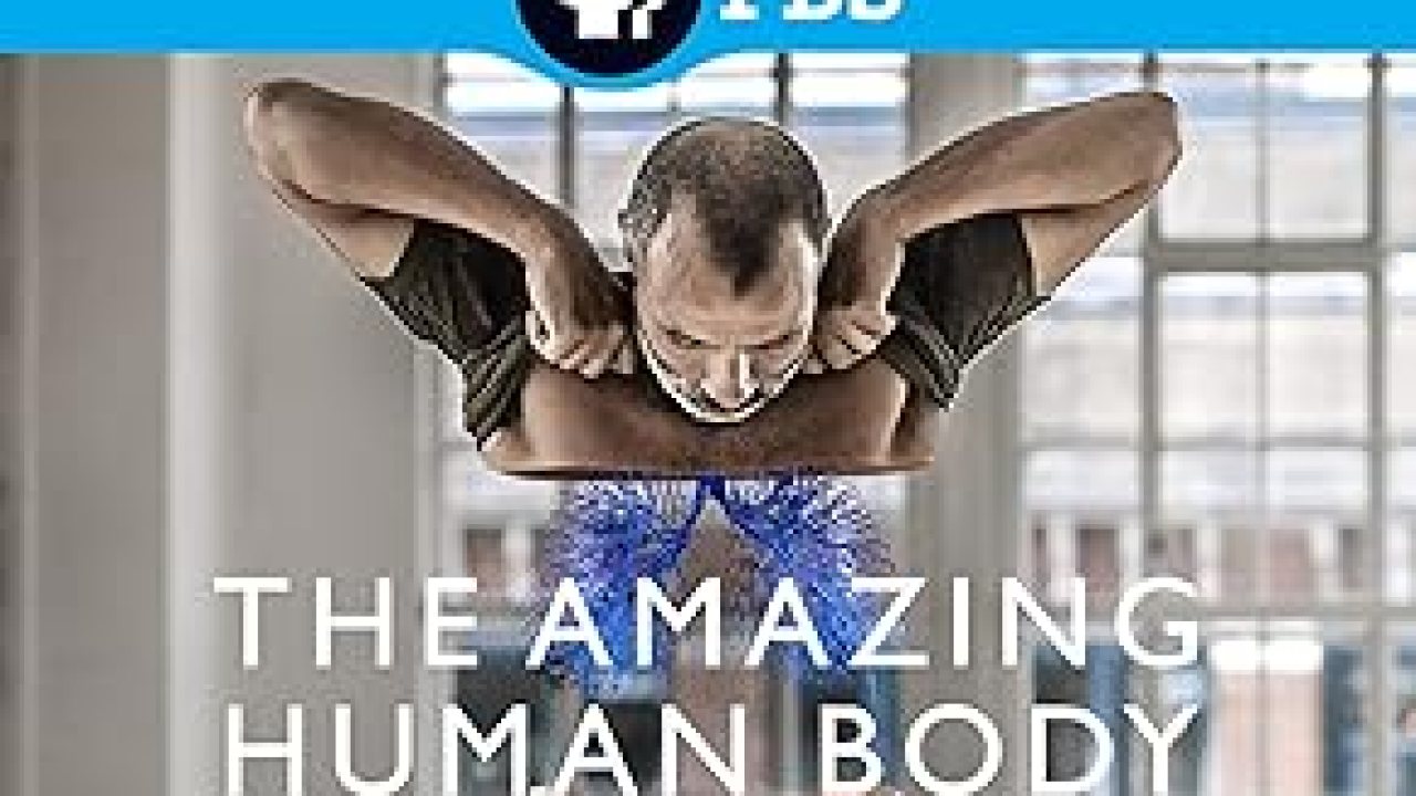 The 16 Best Documentaries About The Human Body The 16 Best Documentaries About The Human Body