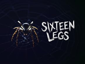 The 20 Best Documentaries About Spiders The 20 Best Documentaries About Spiders