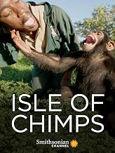 The Best Documentaries About Chimpanzees The Best Documentaries About Chimpanzees