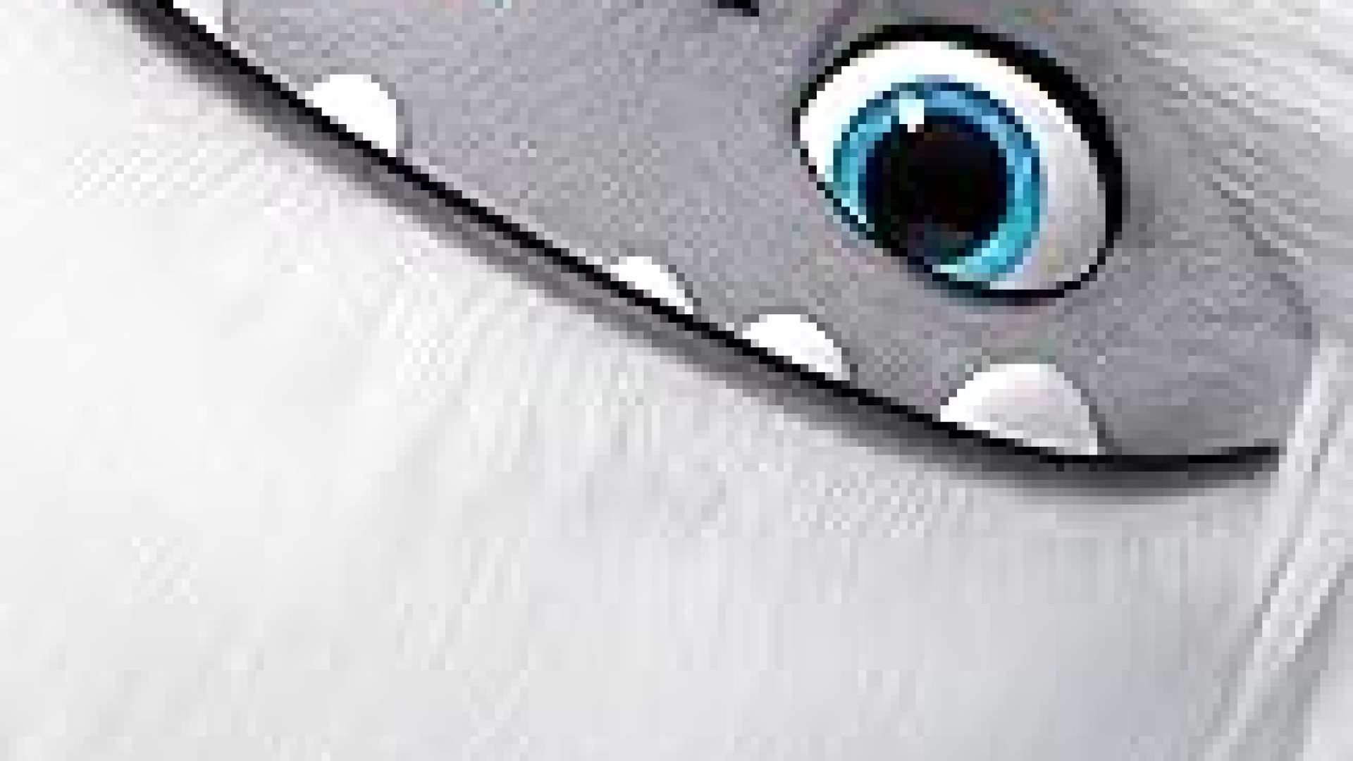 The Best Movies About Yeti The Best Movies About Yeti