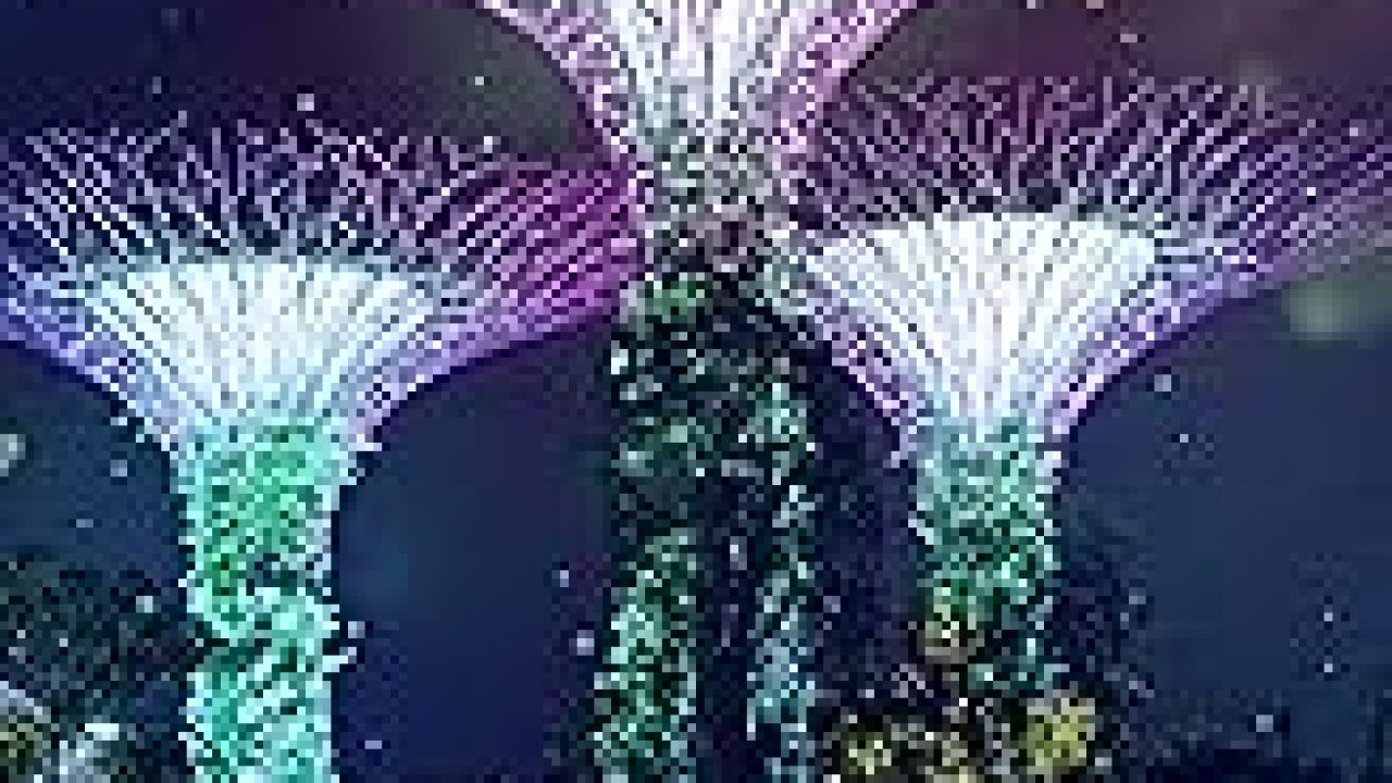 The Best Documentaries About Singapore The Best Documentaries About Singapore