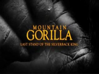 The Gorilla King The Gorilla King