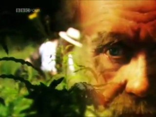 Darwin’s Struggle: The Evolution of the Origin of Species Darwin’s Struggle: The Evolution of the Origin of Species