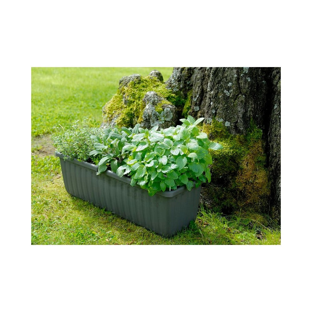 Antracitově šedý samozavlažovací truhlík, délka 80 cm Siesta - Plastia - Obrázek 2