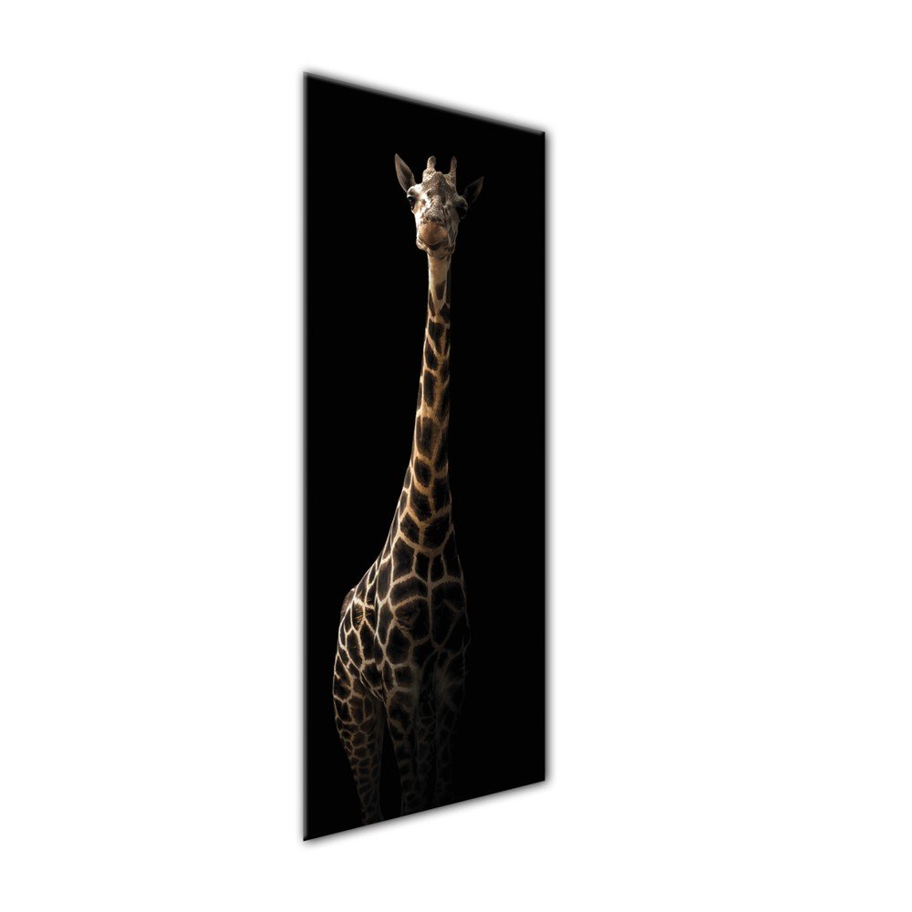 Obraz Styler Glas Animals Gira, 50 x 125 cm - Obrázek 2