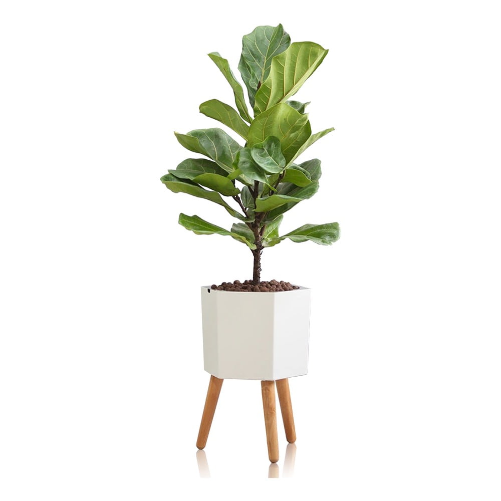 Bílý samozavlažovací květináč Tomasucci Calla, ø 22,8 cm - Obrázek 2