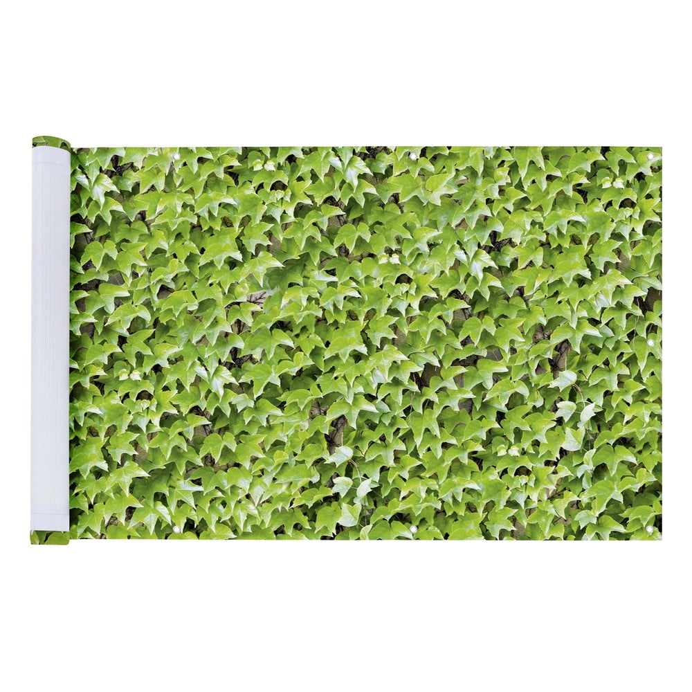 Zelená plastová balkonová zástěna 500x85 cm Wilder Wein – Maximex - Obrázek 2