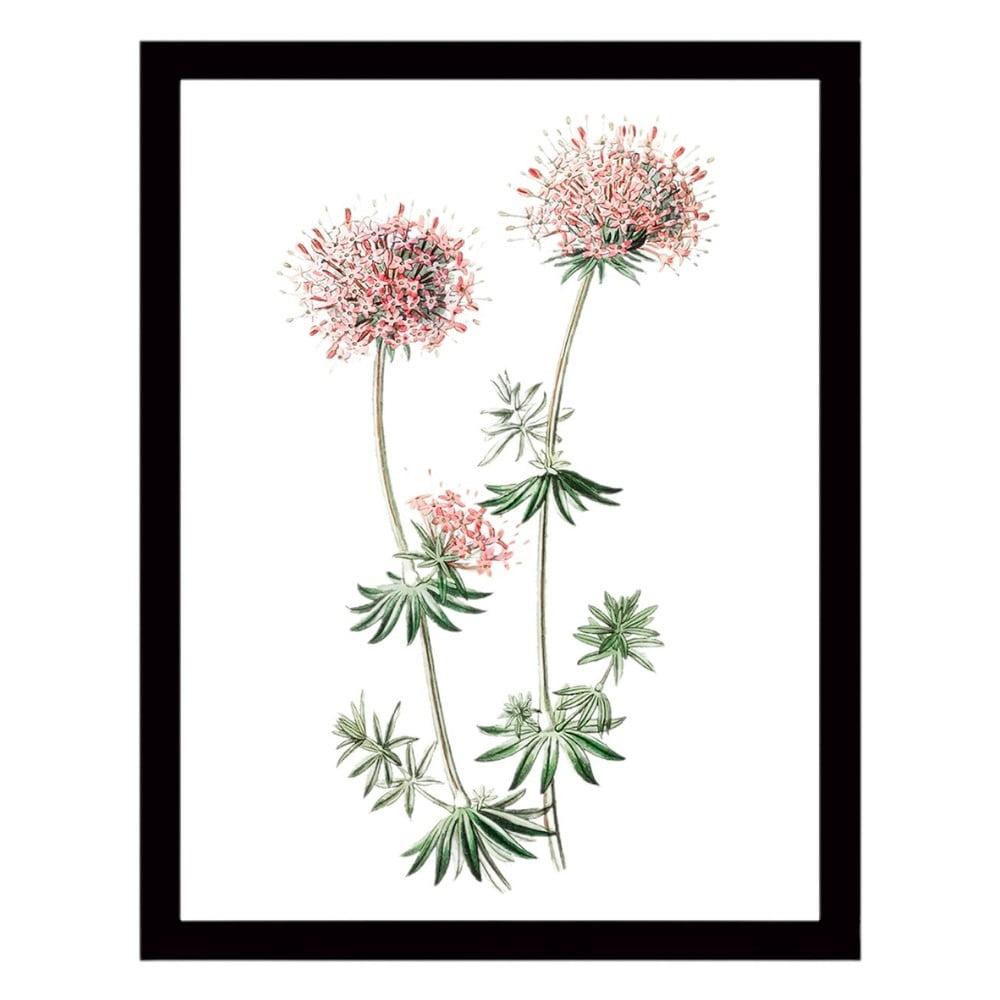 Nástěnný obraz na plátně v černém rámu Tablo Center Natura, 29 x 24 cm Nástěnný obraz na plátně v černém rámu Tablo Center Natura, 29 x 24 cm