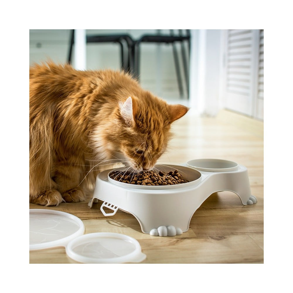 Béžová plastová miska s víkem pro zvířata Sally - Rotho - Obrázek 2