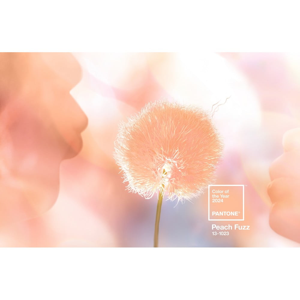 Oranžové poutko na klíče Peach Fuzz 13-1023 – Pantone - Obrázek 2