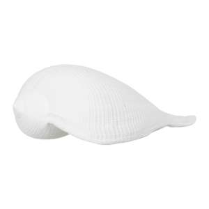 Soška z polyresinu (výška 5 cm) Seashell – Ixia