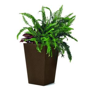 Plastový obal na květináč Rattan – Keter