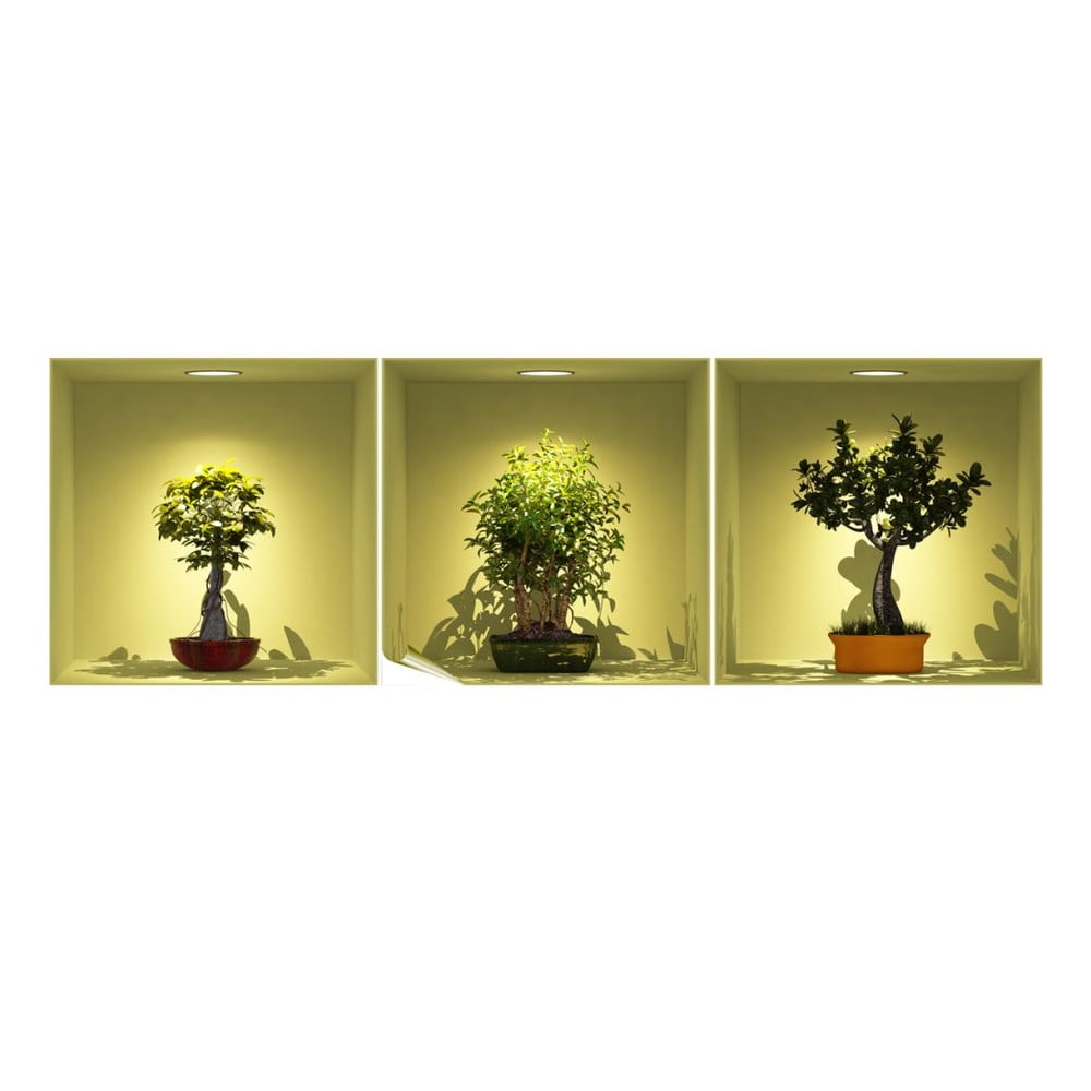 Sada 3 samolepek s 3D efektem Ambiance Bonsai Trees On Spot - Image 2