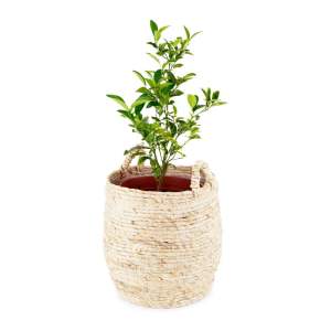 Úložný košík Compactor Lhassa, ø 30 cm