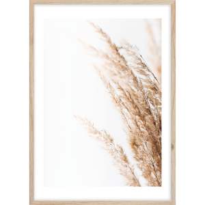 Obraz 50×70 cm Beige II – Styler