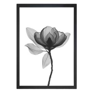 Obraz 24×29 cm Harmony Flower – Vavien Artwork