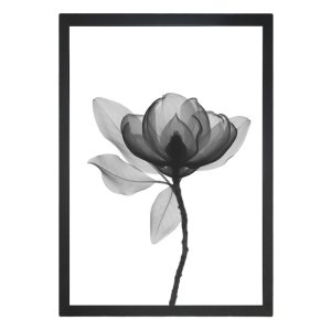 Obraz 24×29 cm Harmony Flower – Vavien Artwork
