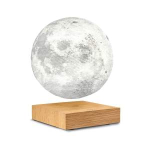 LED stolní lampa v přírodní barvě (výška 14 cm) Moon – Gingko