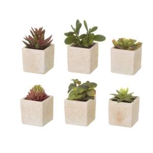 Umělé rostliny v sadě 6 ks (výška 9,5 cm) Cactus – Casa Selección