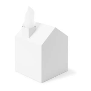 Plastový box na kapesníky Casa – Umbra