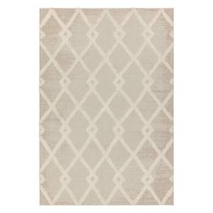Krémový venkovní koberec 160×230 cm Monty – Asiatic Carpets