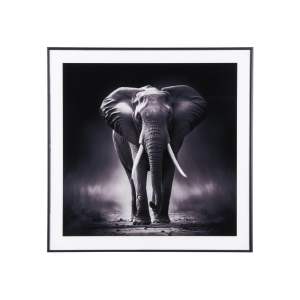 Obraz 50×50 cm Elephant – PT LIVING