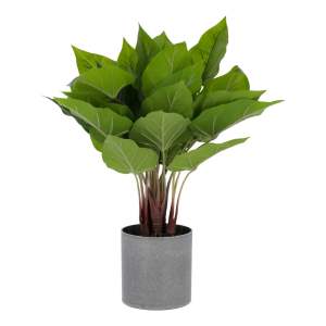 Umělá květina Toulitka Kave Home, výška 50 cm