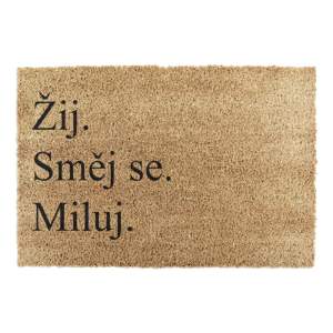 Rohožka z kokosového vlákna 40×60 cm Žij a Miluj – Artsy Doormats