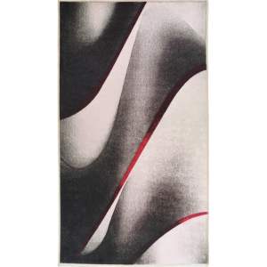 Bílo-černý pratelný koberec běhoun 200×80 cm – Vitaus
