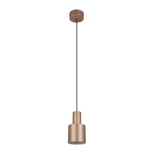 Hnědé závěsné svítidlo s kovovým stínidlem ø 12 cm Agudo – Trio
