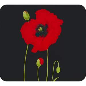 Kryt na zeď u sporáku z tvrzeného skla 50×56 cm Poppy – Maximex