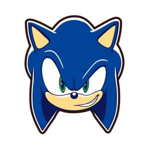 Fleecový dětský polštářek Sonic – Jerry Fabrics