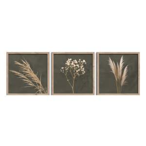 Obrazy v sadě 3 ks 30×30 cm Pampas – Styler