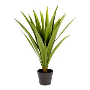 Umělá rostlina (výška 80 cm) Yucca – Kave Home