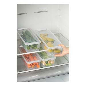 Plastové organizéry do lednice v sadě 4 ks 36×14 cm Lukutu – Hermia