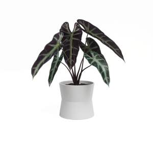 Keramický květináč ø 14 cm Diana – Artevasi