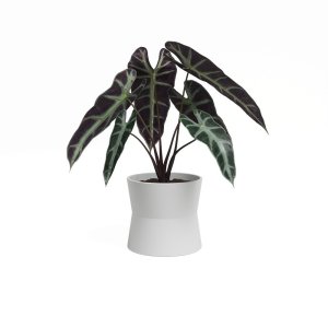 Keramický květináč ø 14 cm Diana – Artevasi