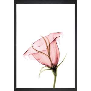 Obraz 24×29 cm Misty Bloom – Vavien Artwork