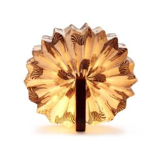Tmavě hnědá stmívatelná stolní lampa (výška 3,5 cm) Velvet Accordion – Gingko