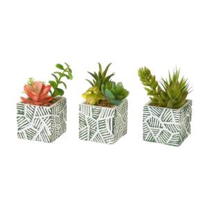 Umělé rostliny v sadě 3 ks (výška 12 cm) Cactus – Casa Selección