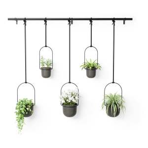 Plastové obaly na květináče v sadě 5 ks na bylinky/závěsné ø 7,5 cm Triflora – Umbra