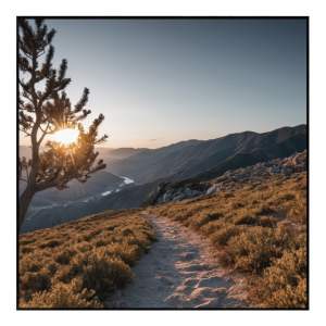 Obraz 50×50 cm Mountain Path