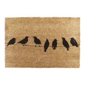 Rohožka z kokosového vlákna 40×60 cm Birds On a Wire – Artsy Doormats