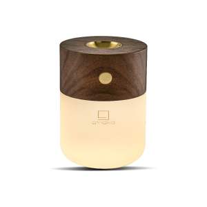 Elektrický difuzér Smart – Gingko
