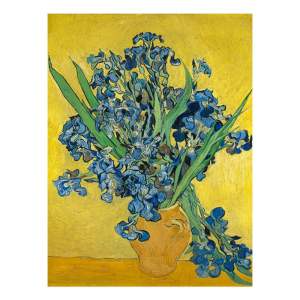 Reprodukce obrazu Vincenta van Gogha – Irises, 60 x 45 cm