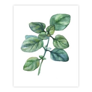 Plakát 40×50 cm