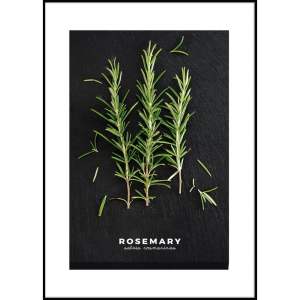 Obraz 50×70 cm Rosemary – Styler