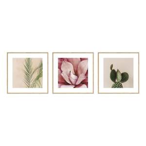 Plakáty v rámu 3 ks 22,5×22,5 cm Flowers