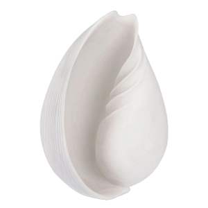 Soška z polyresinu (výška 30,5 cm) Conch – Mette Ditmer Denmark